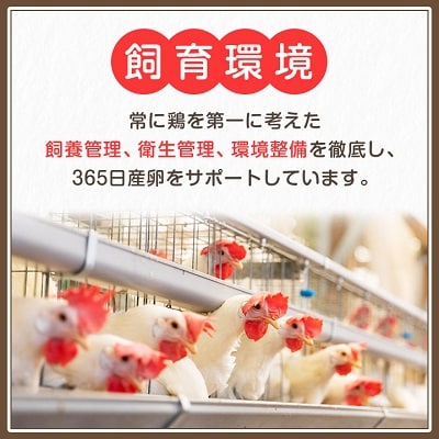与那原町産の新鮮な卵160個(赤卵)
