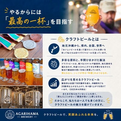 【AGARIHAMA BREWERY・クラフトビール】金城マンゴーエール 6本セット