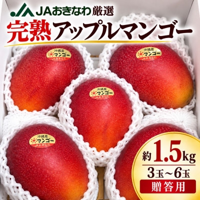 【2027年6月下旬から順次発送・贈答用】完熟アップルマンゴー約1.5kg(3玉～6玉)