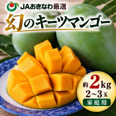 【2027年8月中旬から順次発送・家庭用】幻のキーツマンゴー約2kg(2玉～3玉)
