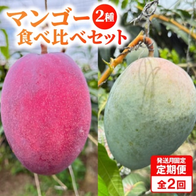 【発送月固定定期便】2026年発送マンゴー2種の食べ比べセット 全2回