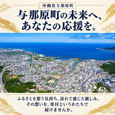 【返礼品なし】沖縄県与那原町 ふるさと応援寄金 1,000円