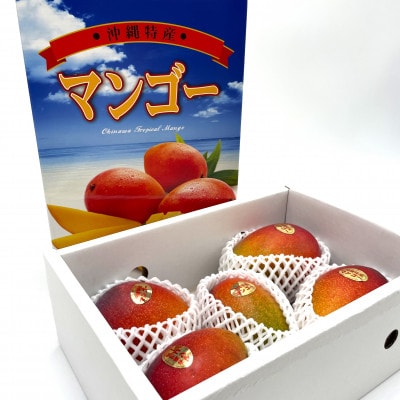【2027年7月中旬より順次発送】瀬底さんの贈答用アップルマンゴー2kg(4～5玉)