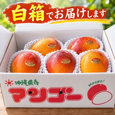 【2027年7月中旬より順次発送・白箱入り】瀬底さんの家庭用アップルマンゴー2kg(4～6玉)