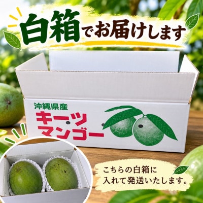 【2027年8月中旬より順次発送・家庭用】瀬底さんの幻のキーツマンゴー2kg(2～4玉)