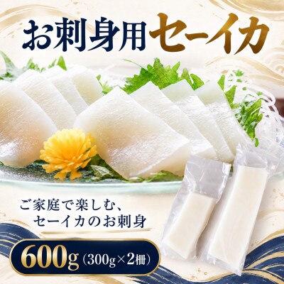 船長の漬干しセーイカ100g×1箱&お刺身用セーイカ600g(300g×2柵)