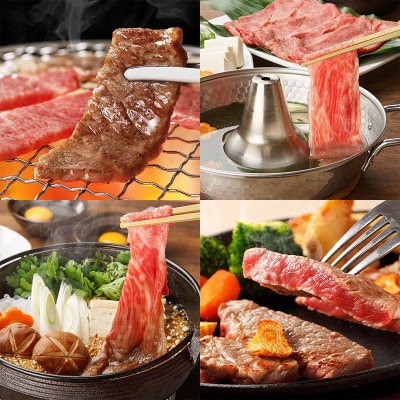 【定期便6回】山形牛三昧　焼肉用、しゃぶしゃぶ用、すき焼き用、ステーキ用定期便 FY20-787