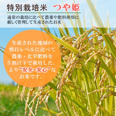 【定期便2回】プレミアムつや姫(特別栽培米)5kg FZ19-901