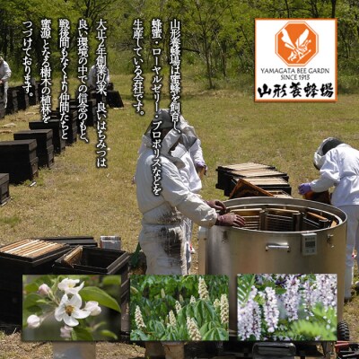 【純粋蜂蜜】 栃の木蜜・混花蜜 詰合せ 500g(各250g) FZ23-899