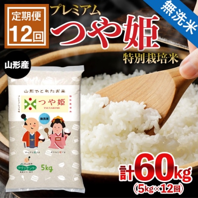 【定期便12回】 [無洗米]プレミアムつや姫(特別栽培米) 5kg×12ヶ月 FZ22-412