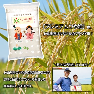 【定期便12回】 [無洗米]プレミアムつや姫(特別栽培米) 5kg×12ヶ月 FZ22-412