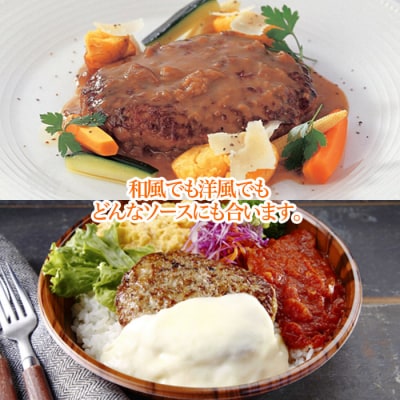 鉄板焼!JGハンバーグヴィアンド 2.2kg(110g×20個) FZ22-452
