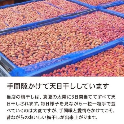 やまがた完熟 梅干し 粒不揃い 1kg FY23-740