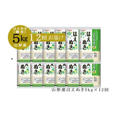 【定期便12回】山形産はえぬき 精米5kg×12ヶ月(頒布会)計60kg FZ22-019