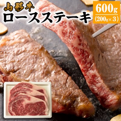 山形牛 ロースステーキ 600g(200g×3枚) FY22-320
