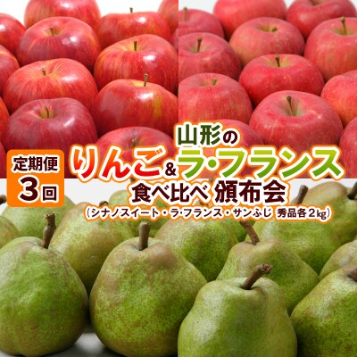 【定期便3回】山形のりんご&ラ・フランス食べ比べ頒布会 FY24-203