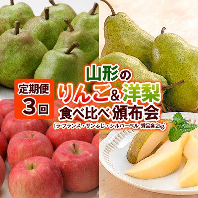 【定期便3回】山形のりんご&洋梨食べ比べ頒布会 FY24-204