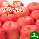 山形のりんご サンふじ 秀品 約3kg(6～12個) FY24-209
