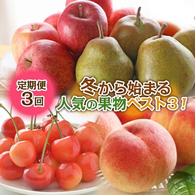 【定期便3回】冬から始まる 人気の果物ベスト3! FY24-302