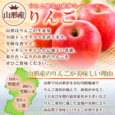 山形市産 こうとくりんご 5kg FZ20-521