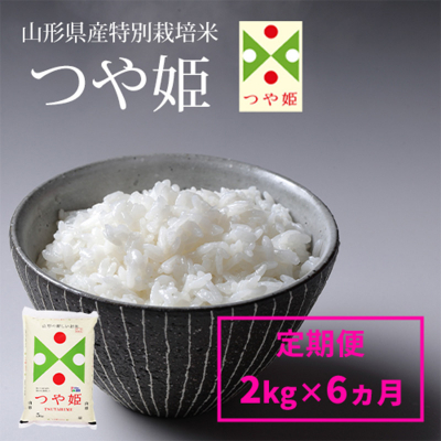 【定期便6回】山形産 特別栽培米 つや姫 2kg×6ヶ月(計12kg) FY24-304