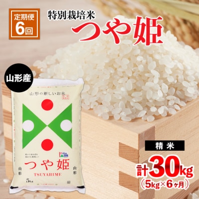 【定期便6回】山形産 特別栽培米 つや姫 5kg×6ヶ月(計30kg)  FY24-474