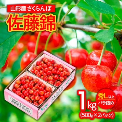 山形市産さくらんぼ 佐藤錦 L以上 1kg(500g×2)バラ詰め 【令和7年産】FS24-622