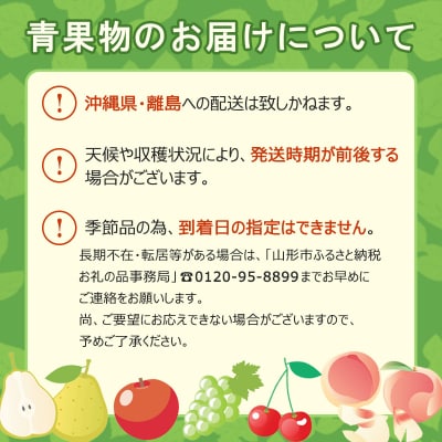 さくらんぼ 佐藤錦 L1kg バラ詰め 【令和7年産】FS24-582