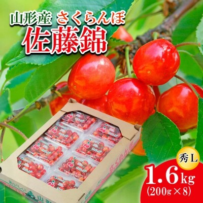 さくらんぼ 佐藤錦 L 1.6kg(200g×8) 【令和7年産】FU21-817