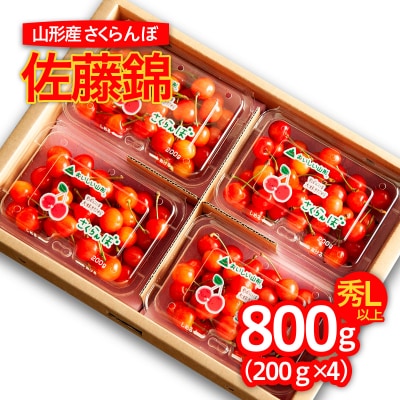 さくらんぼ 佐藤錦 800g Lサイズ以上(200g×4パック) 【令和7年産】FS24-551