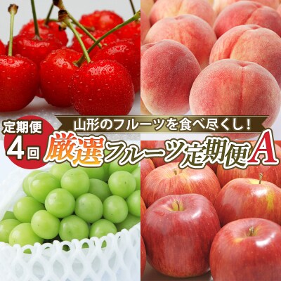【定期便4回】山形のフルーツを食べ尽くし!厳選フルーツA 【令和7年産】FS24-798