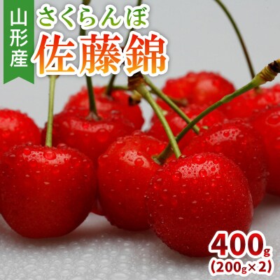 山形産 さくらんぼ 佐藤錦 400g(200g×2) 【令和7年産】FS24-804
