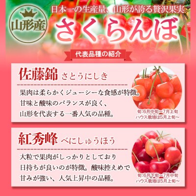 山形産 さくらんぼ 佐藤錦 400g(200g×2) 【令和7年産】FS24-804