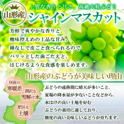 山形市産 シャインマスカット 秀 2kg(2～6房)[前半] 【令和7年産】FS24-659