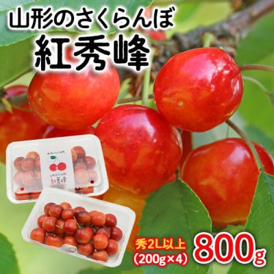 山形のさくらんぼ 紅秀峰 2Lサイズ以上 800g(200g×4) 【令和7年産】FS24-639