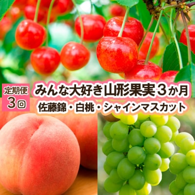 【定期便3回】みんな大好き山形果実 (佐藤錦、白桃、シャイン) 【令和7年産】FU23-342
