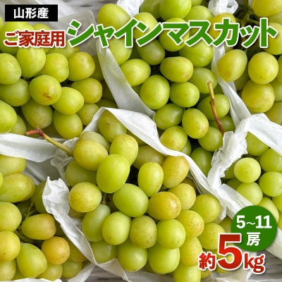 [ご家庭用]山形産 シャインマスカット 約5kg (5房～11房) 【令和7年産】FS24-749