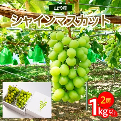 山形市産 シャインマスカット 秀 約1kg以上(2房)[後半] 【令和7年産】FU23-038
