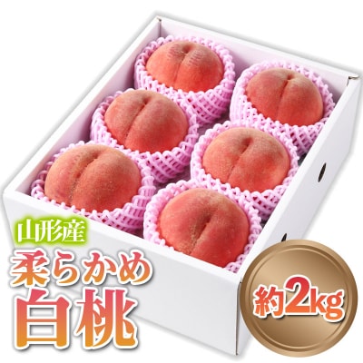 山形産 柔らかめ 「白桃」 秀品 約2kg (5玉～8玉) 【令和7年産】FS24-081