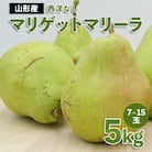 山形市産 西洋なし(マリゲットマリーラ) 秀 5kg(7玉～15玉) 【令和7年産】FS23-729