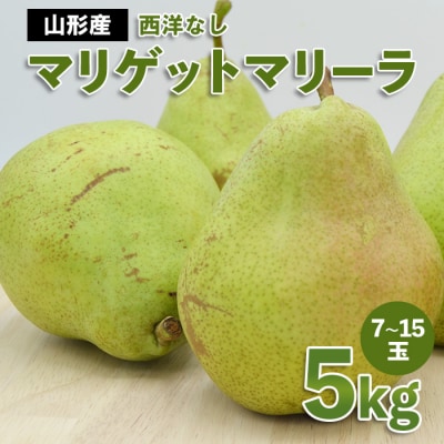 山形市産 西洋なし(マリゲットマリーラ) 秀 5kg(7玉～15玉) 【令和7年産】FS23-729