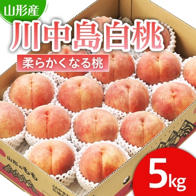 山形市産 桃「川中島白桃」 秀以上 5kg [柔らかくなる桃] 【令和7年産】FU21-062