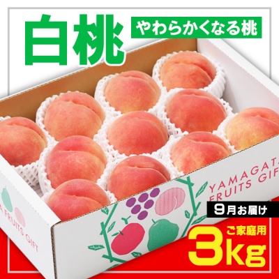 [ご家庭用] 白桃 〇秀品 3kg [やわらかくなる桃] 9月お届け 【令和7年産】FS23-827