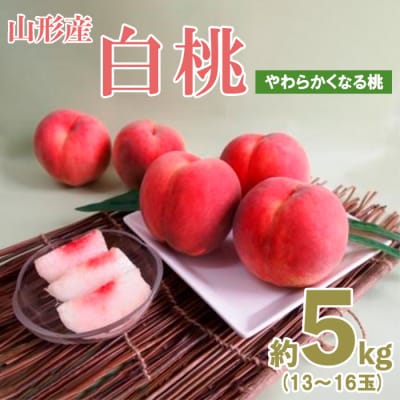 山形産白桃約5kg(13～16玉)[やわらかくなる桃] 【令和7年産】FU19-328