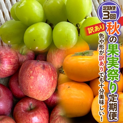 【定期便3回】★訳あり★秋の果実祭り定期便 【令和7年産】FS24-814