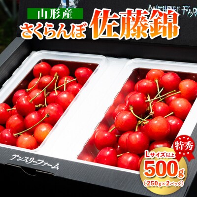  山形県産 さくらんぼ「佐藤錦」500g 特秀品 Lサイズ以上 【令和7年産】FS24-805