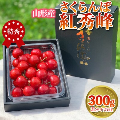 さくらんぼ 「紅秀峰」 300g 特秀品 2Lサイズ以上 山形産【令和7年産】 FS24-038