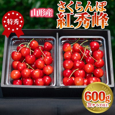 さくらんぼ 「紅秀峰」 600g 特秀品 2Lサイズ以上 山形産【令和7年産】 FS24-037