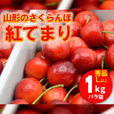 山形のさくらんぼ 紅てまり 1kg Lサイズ以上 バラ詰 【令和7年産】FS24-560