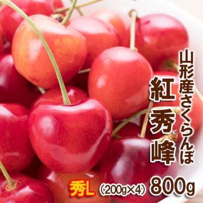 さくらんぼ 紅秀峰 Lサイズ 800g(200g×4パック) 【令和7年産】FS24-609